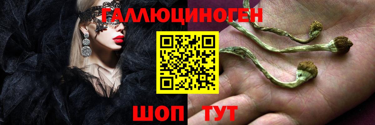 Псилоцибиновые грибы Magic Shrooms  Вход с VPN  дарнет шоп  Галлюциногенные грибы MAGIC MUSHROOMS  Казань 
